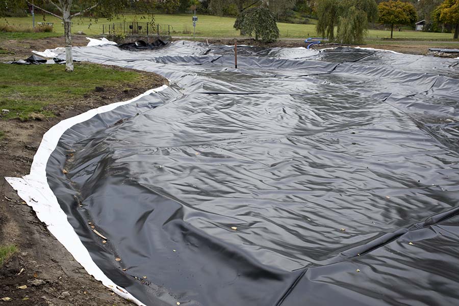 Commercial Fish Farm